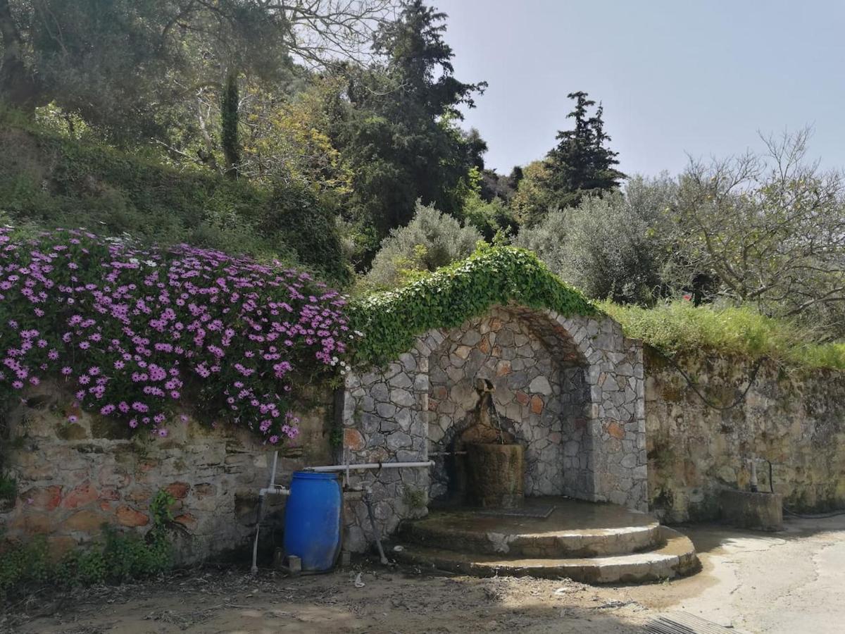 Batilas Garden House 키사모스 외부 사진